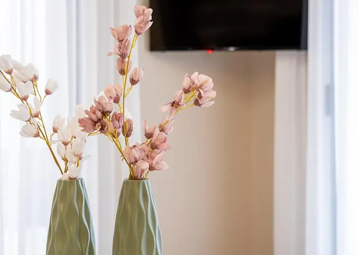 Olivio 4 Seasons * Nea Moudania